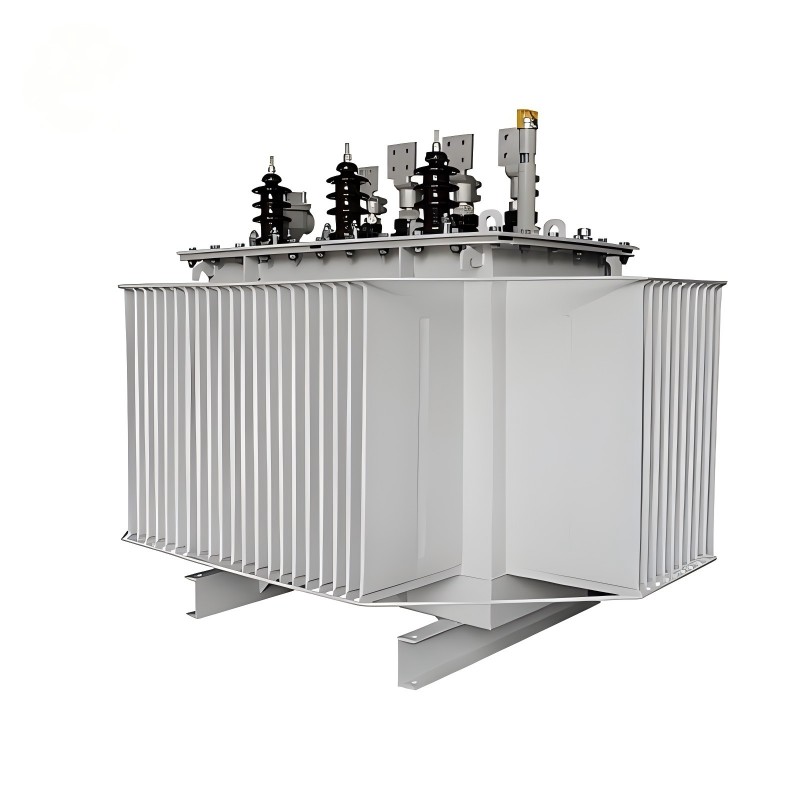 S20 Series High-Efficiency Oil Immersed Power Transformer 10kV